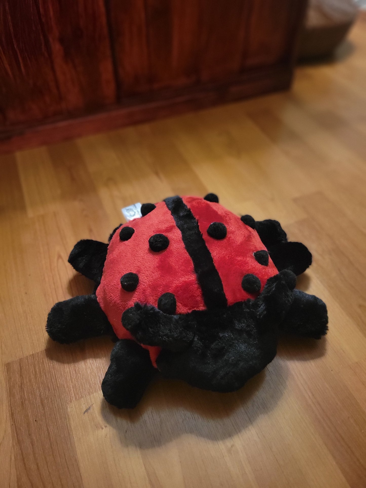 Dotty the Ladybug